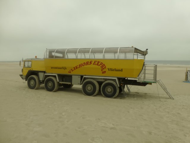 vliehorsexpress.jpg