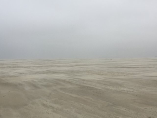 img_1969.jpg