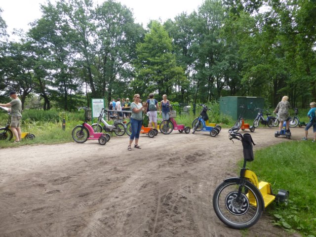 verderopinhetbos.jpg