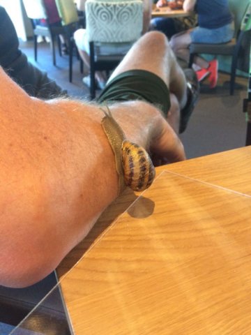 img20180616wa0064.jpg