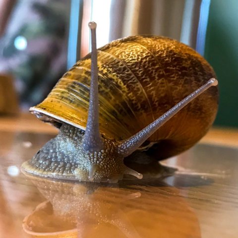 img20180616wa0068.jpg