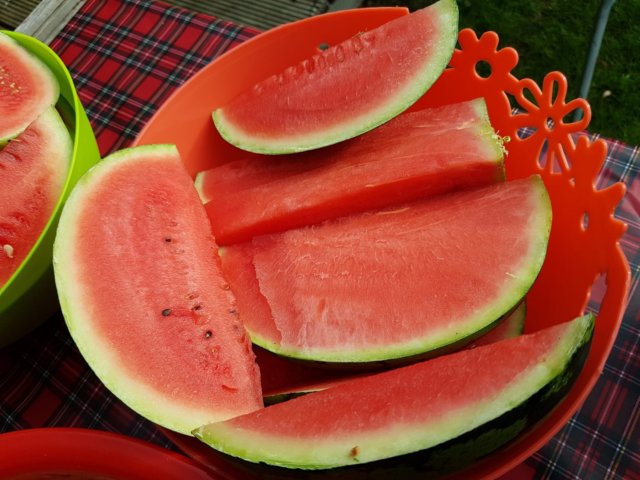 img20180616wa0106.jpg