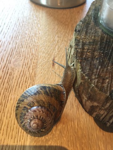 img20180618wa0005.jpg
