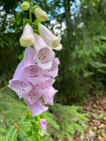img20220626wa0058.jpg