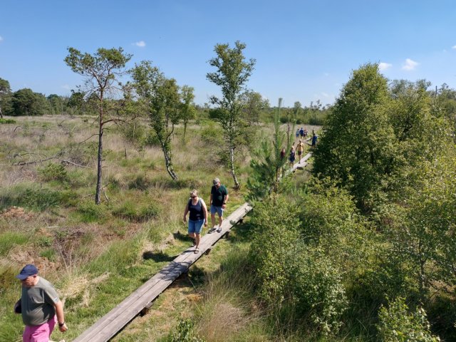 wandelingdoordenatuur13.jpg