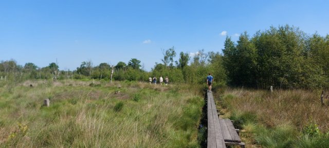 wandelingdoordenatuur3.jpg