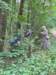 img20260624wa0094_small.jpg