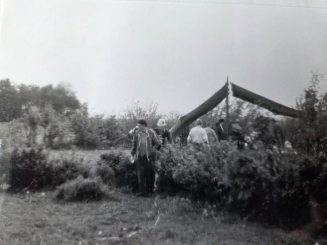 tfxc5949.jpg